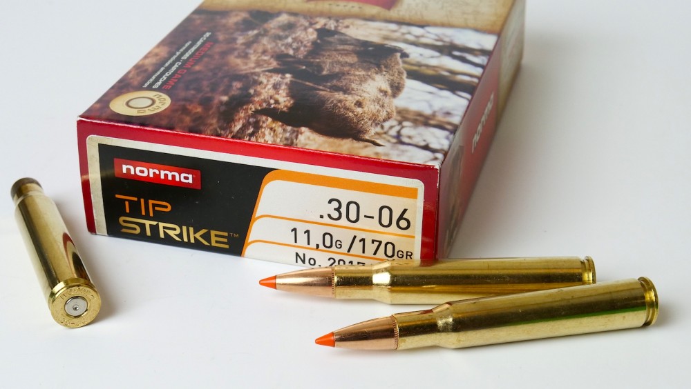 Norma Tipstrike 30-06
