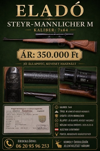 STEYR-MANNLICHER M